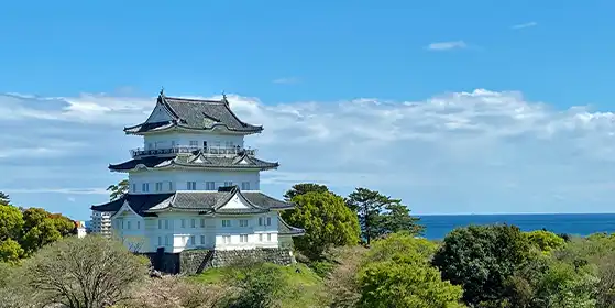 小田原の社労士ならベストピア社会保険労務士事務所のイメージ